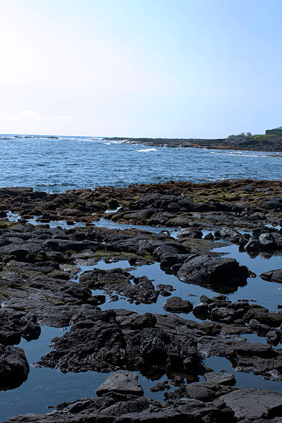 istock Black Rocks of Hawaii Coastline 182759855
