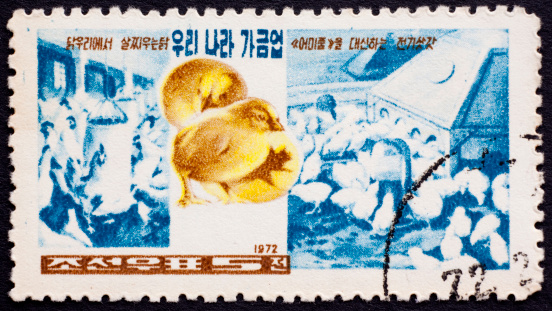 Image from 1972 showing chicks for agricultural use. North Korean Stamp illustrating Northern Korea cultureAlternative: