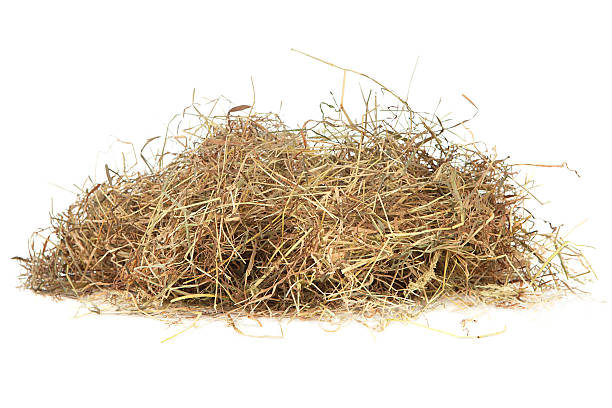 Meadow there Meadow hay on white straw photos stock pictures, royalty-free photos & images