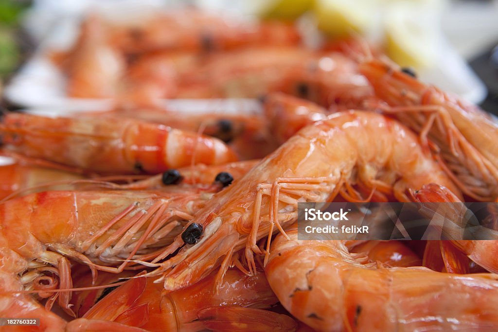 Prawns - Royalty-free Animal Foto de stock