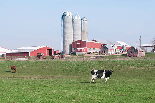 Dairy farm stock photo