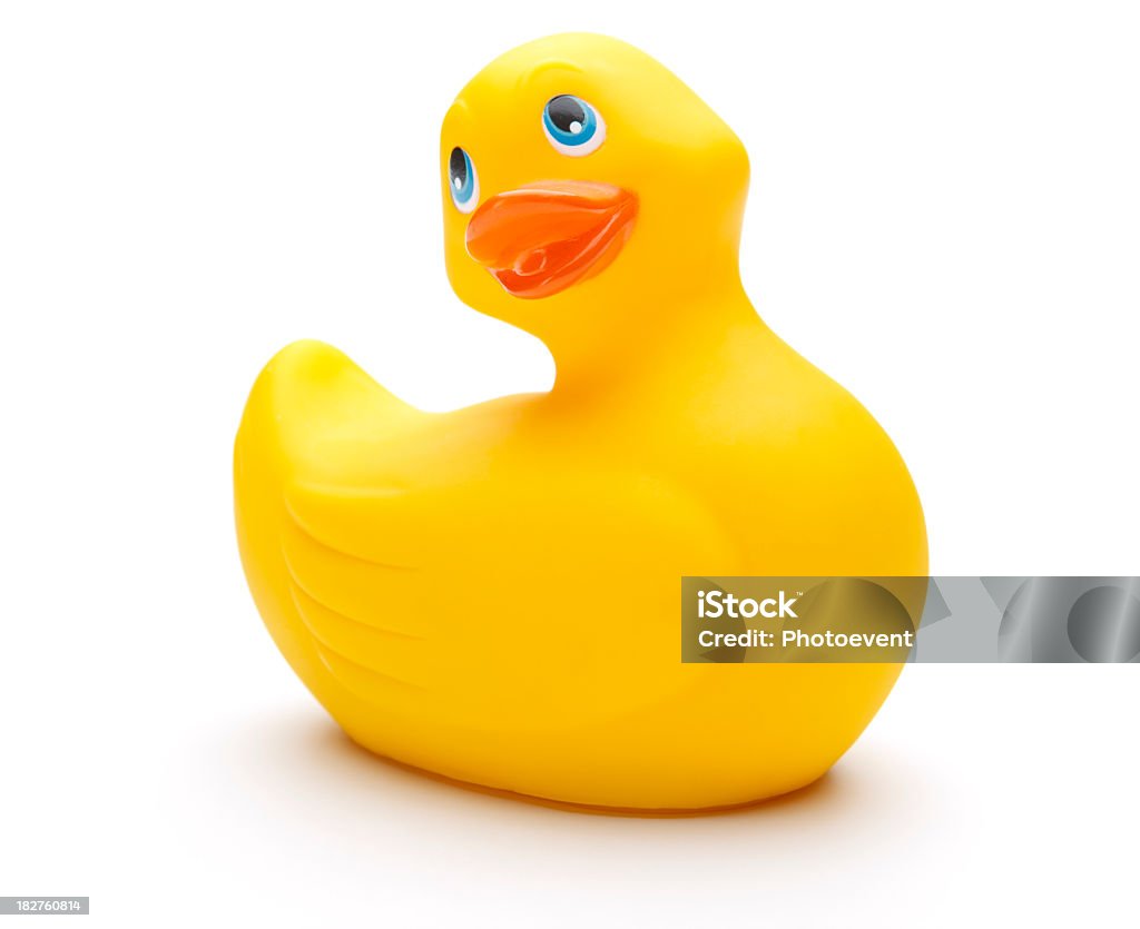 Cute looking yellow rubber duck Rubber Duckling isolated on white Rubber Duck Stock Photo