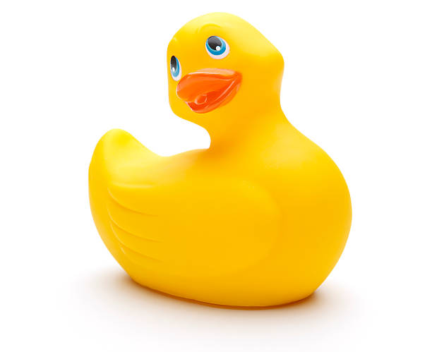 Cute looking yellow rubber duck stock photo