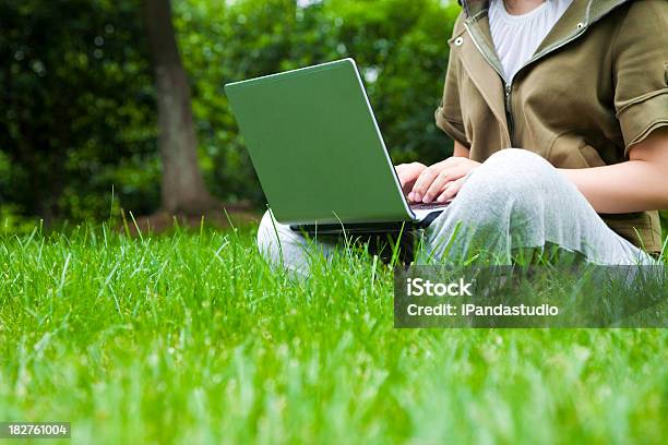 Foto de Usando O Laptop No Parque e mais fotos de stock de Aluno de Universidade - Aluno de Universidade, Laptop, Namoro pela Internet