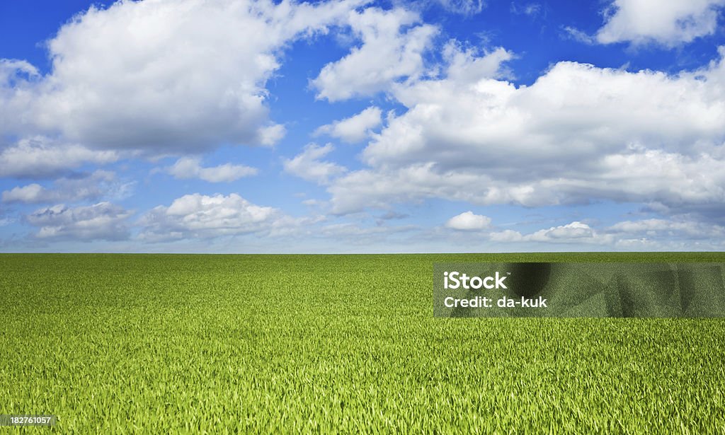 Campo Verde sobre azul Céu Tempestuoso - Foto de stock de Ajardinado royalty-free