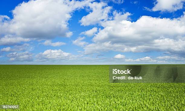 Зеленое Поле Над Голубой Угрюмое Небо — стоковые фотографии и другие картинки Без людей - Без людей, Выразительное небо, Газон