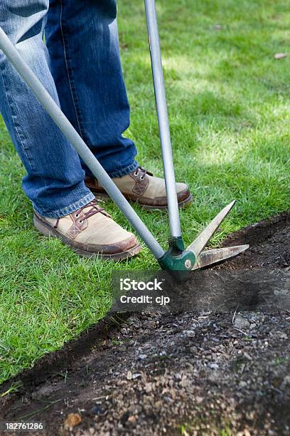 Gardener Bordos Com Tesoura De Aparar Relva - Fotografias de stock e mais imagens de Ao Ar Livre - Ao Ar Livre, Arrumado, Cor verde