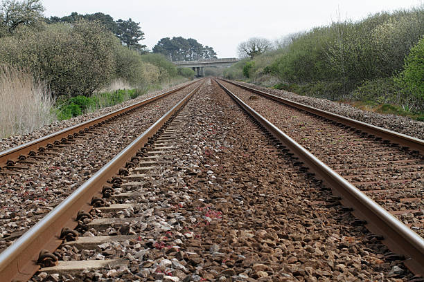 istock Between the tracks railway line vanishing straight perspective 182761395