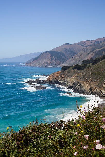 istock Big Sur coast near 'Big Creek Bridge' (vert) 182761429