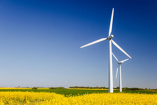 istock Wind turbines in yellow field. Sustainable energy. Polarized blue sky. 182761532