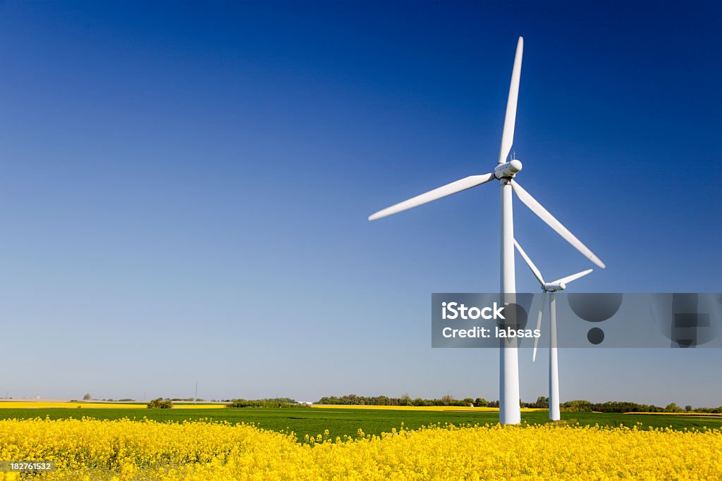 Wind turbines in yellow field. Sustainable energy. Polarized blue sky. Wind turbines in yellow field. Sustainable energy. Alternative and ecofriendly energy. Polarized blue sky. Wind Turbine Stock Photo