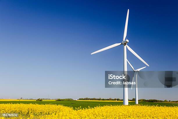 Wind Turbines In Yellow Field Sustainable Energy Polarized Blue Sky Stock Photo - Download Image Now