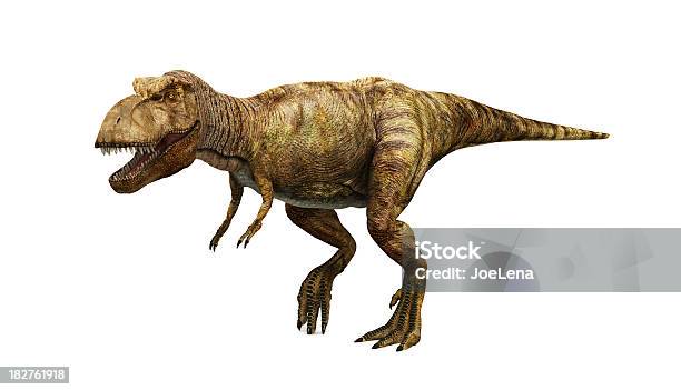 Tiranosaurio Foto de stock y más banco de imágenes de Dinosaurio - Dinosaurio, Tiranosaurio, Fondo blanco