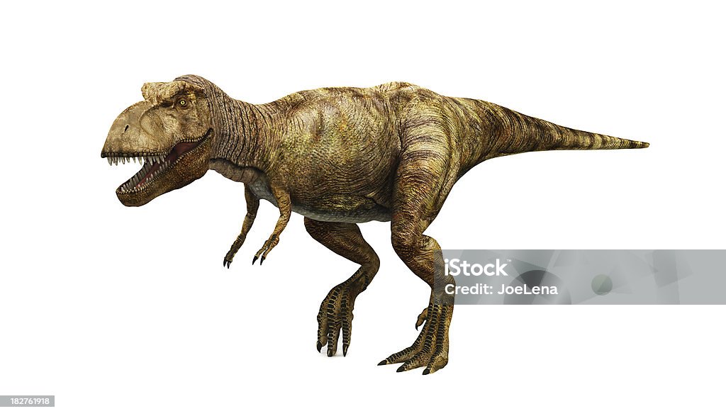 Tyrannosaurus rex Trex on white. Dinosaur Stock Photo