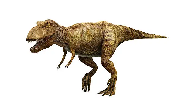 Photo of Tyrannosaurus rex