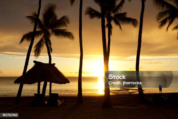 Vacanza Spiaggia Tropicale Silhouette - Fotografie stock e altre immagini di Nadi - Nadi, Acqua, Adulto