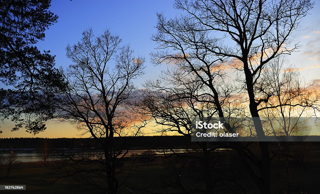 Svedese tramonto - Foto stock royalty-free di Acqua