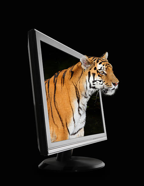 3D-TV stock photo