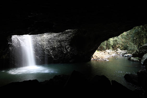 natural bridge wodospad, queensland, australia - tropical rainforest waterfall rainforest australia zdjęcia i obrazy z banku zdjęć