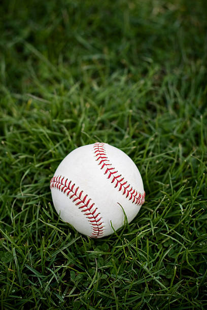 istock Slightly used white baseball on lush green grass 182763330