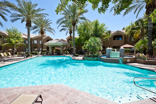 A shot of a community swimming pool surrounded by palm trees.