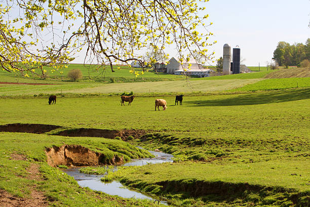 Spring at Amish land stock photo