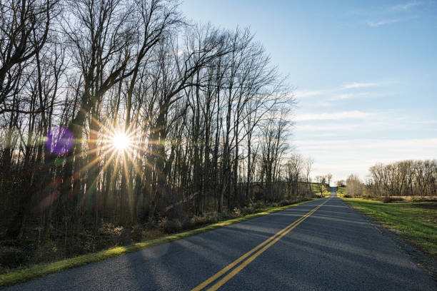 Late afternoon/evening eighteen point star shaped sun flare sunset sunlight blazing through a stand of bare trees in western New York State along a rural country highway road.