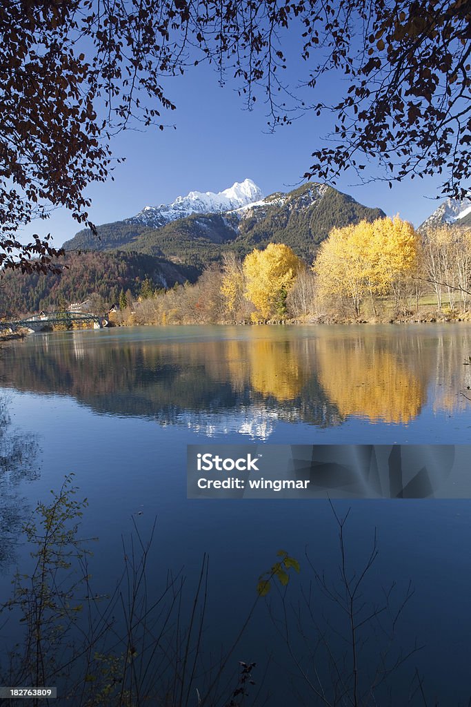Herbst im river lech in tirol -austria - Lizenzfrei Baum Stock-Foto