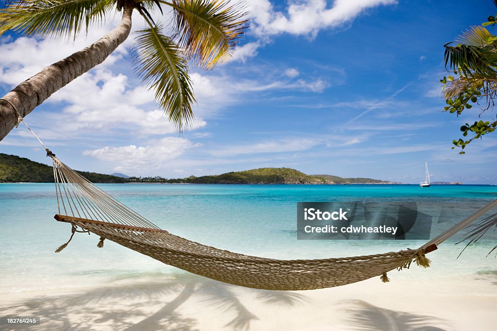 Hamac entre palmiers sur la plage immaculée, dans les Caraïbes - Photo de Hamac libre de droits