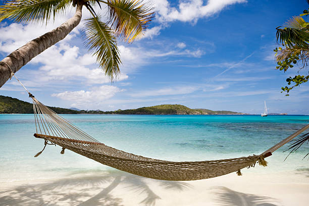 hammock between palm trees on untouched beach in the Caribbean hammock between palm trees on the Caribbean  beach - perfect place to relax on your vacation hammock stock pictures, royalty-free photos & images