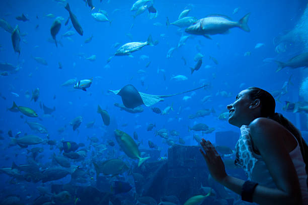 Acuario - foto de stock