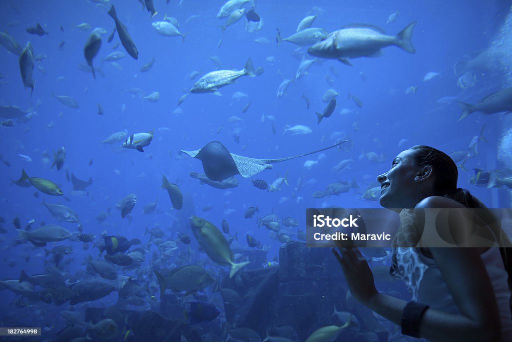 Aquarium image of young woman in front of huge fish tank. Fish Tank Stock Photo
