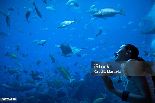 Aquarium Stock Photo - Download Image Now - Fish Tank, Adult, Adults Only