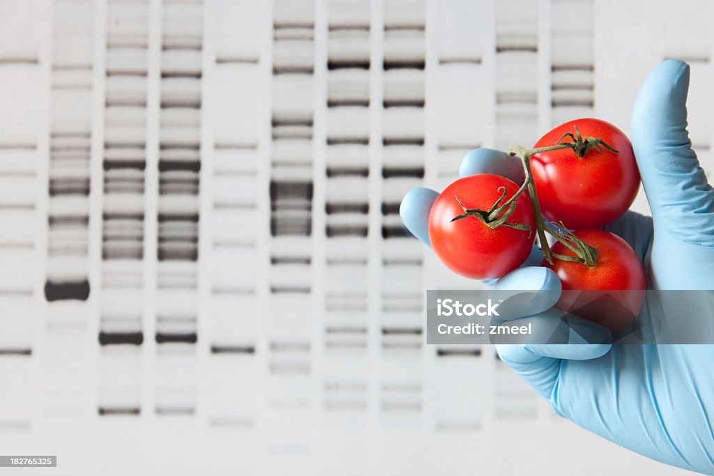 Modificación genética - Foto de stock de ADN libre de derechos