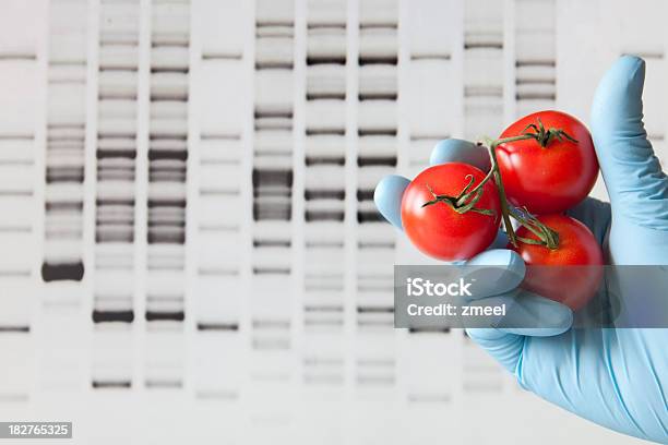 Modificación Genética Foto de stock y más banco de imágenes de ADN - ADN, Ciencia, Color - Tipo de imagen