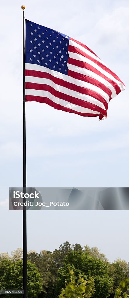 Bandeira dos EUA ao vento - Foto de stock de 4 de Julho royalty-free