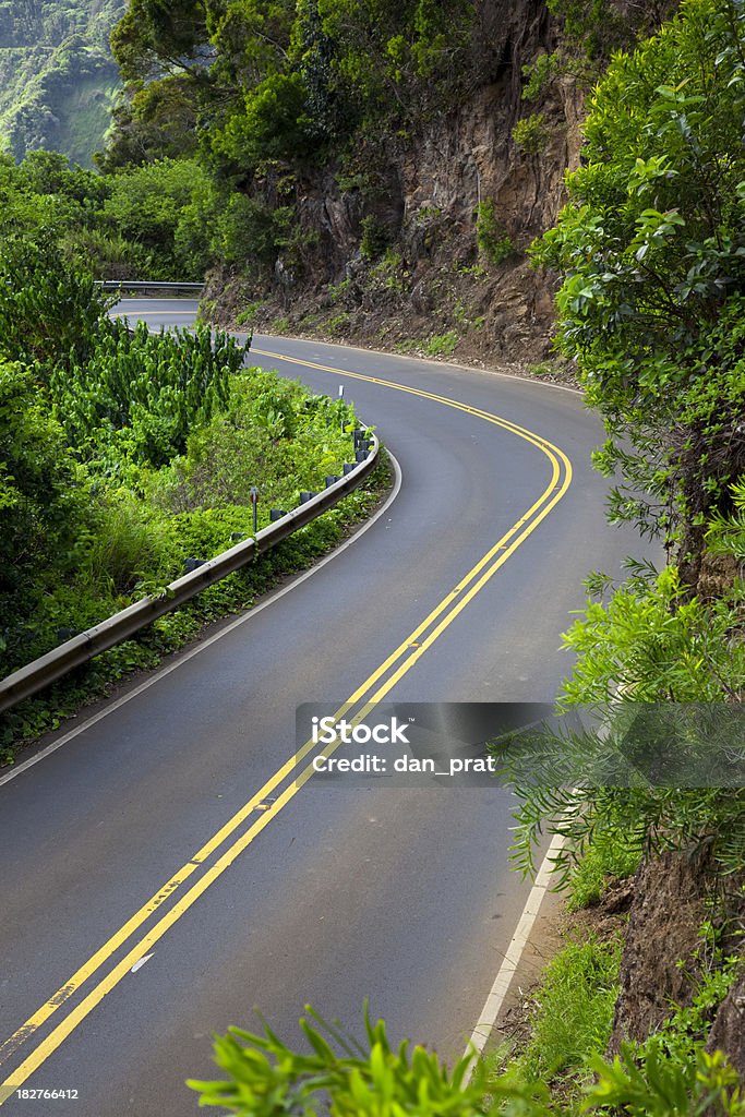 Route vers Hana - Foto de stock de Clima tropical libre de derechos