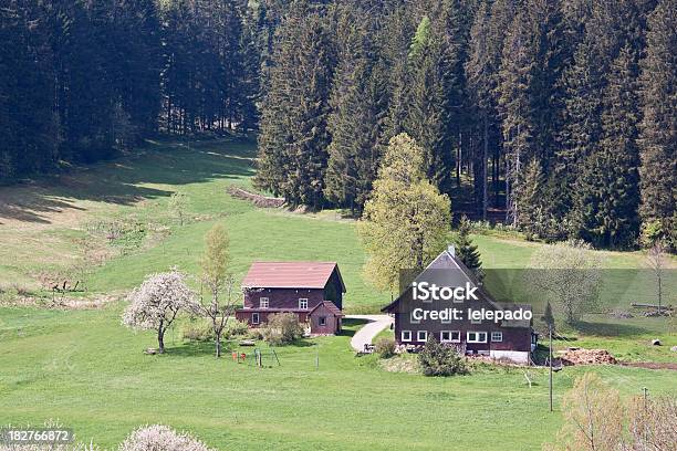 Paisagem Floresta Negra - Fotografias de stock e mais imagens de Agricultura - Agricultura, Ajardinado, Alemanha