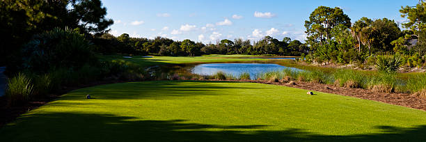 panoramiczny widok na pole golfowe tee box na florydzie - sport tee day tee box zdjęcia i obrazy z banku zdjęć