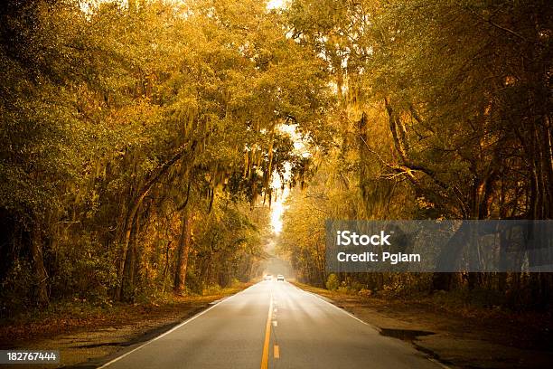 Plantationwaldautobahn Stockfoto und mehr Bilder von Lebensweg - Lebensweg, South Carolina, Straßensperre