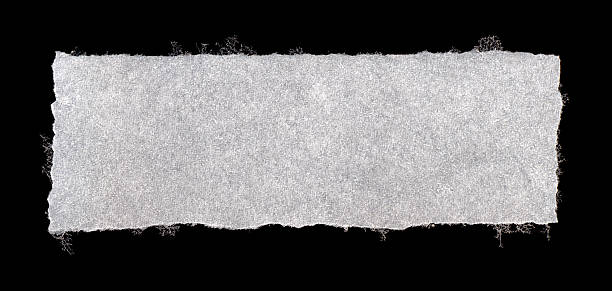 istock Torn Piece of Frozen Tissue Paper 182767552