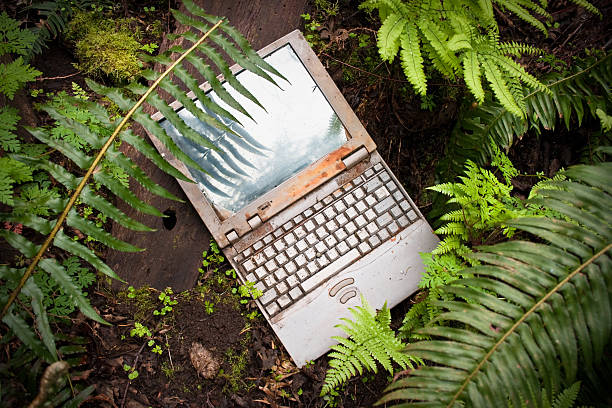 Rusted Laptop Computer Lying in Forest stock photo