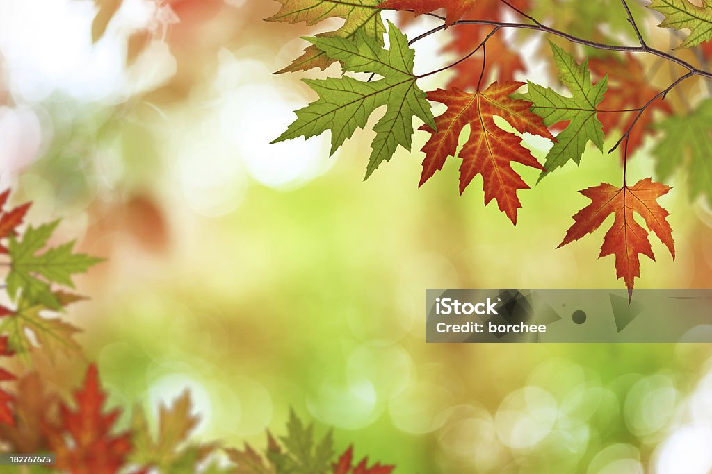 Осенняя листва - Стоковые фото Абстрактный роялти-фри