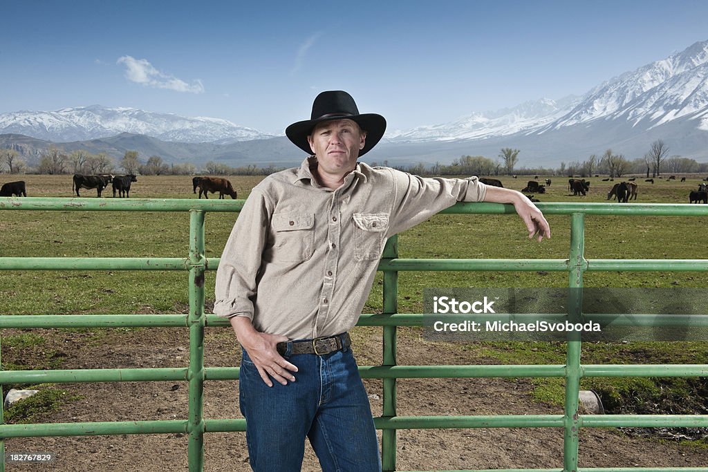 牛 Rancher - 1人のロイヤリティフリーストックフォト