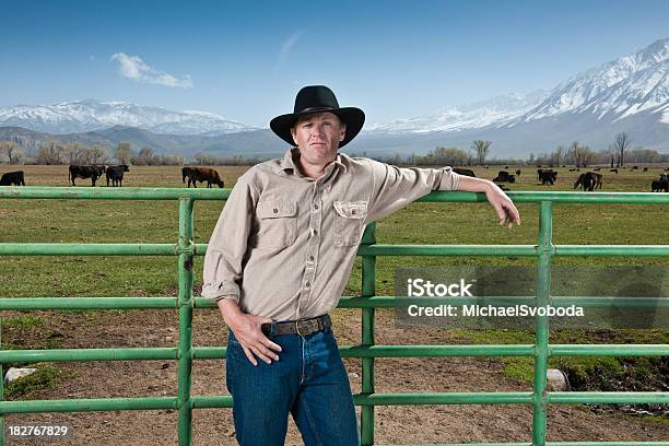 牛 Rancher - 1人のストックフォトや画像を多数ご用意 - 1人, 30代, アメリカ合衆国