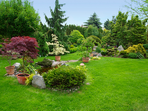 A tropical garden with flowers, ferns, trees and a waterfall.