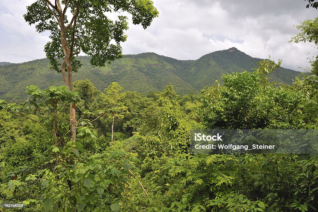 Floresta pluvial de Erawan - Royalty-free Abstrato Foto de stock