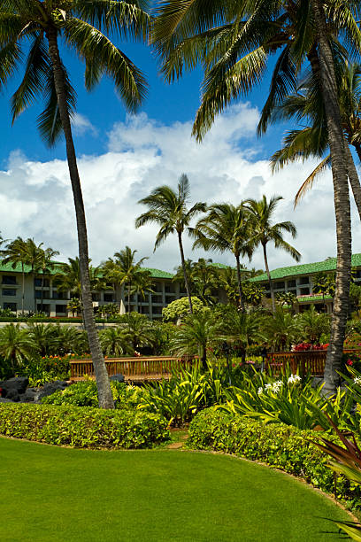 istock Beautiful Tropical Hawaiian Resort 182768340