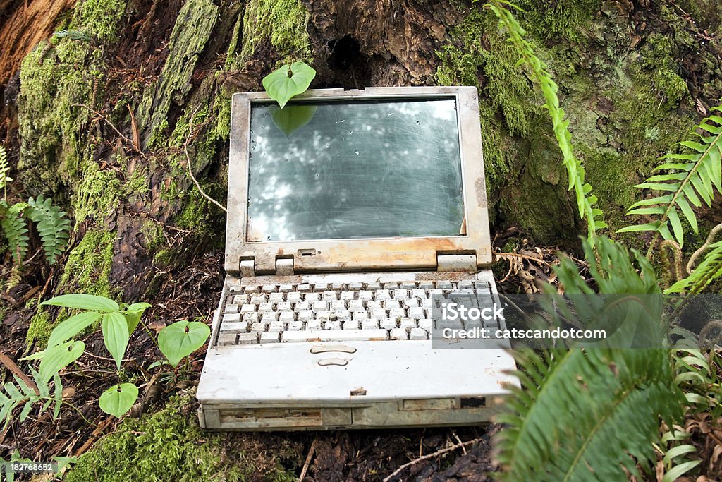 Métaux ordinateur portable allongé en forêt - Photo de Décharge publique libre de droits