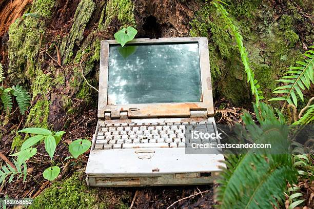 Photo libre de droit de Métaux Ordinateur Portable Allongé En Forêt banque d'images et plus d'images libres de droit de Décharge publique - Décharge publique, Ordinateur portable, A l'abandon